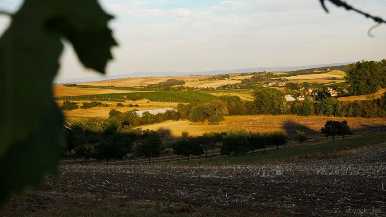 Ubytovani V Hovoranech Hovorany Exterior foto